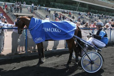 Méritoire 3ème place pour TIMOKO