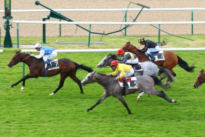 ANODIN remet les pendules à l'heure