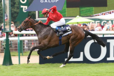Exceptionnelle TREVE !