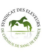  Syndicat des Eleveurs de Chevaux de sang de France