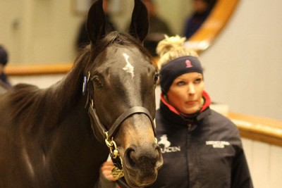 Tattersalls Sponsorisera Le Prix La Sorellina (Listed) A La Teste De Buch