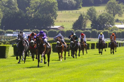 GRYFFICHOP, SHAMROCK ROVER et GREANETEEN, trois débutants prometteurs à Clairefontaine, s'ajoutent à la Vente d'Eté