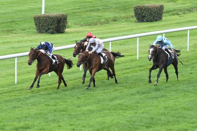 SALSA BELLA, gagnante pour ses débuts hier à Bordeaux, passera à la Vente de l'Arc
