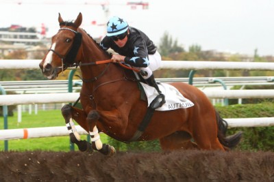 MONSAMOU, roi de Pau