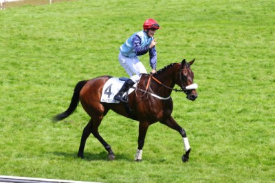 WHETSTONE sur le toit du monde