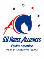  CCI Pau Bearn - Cluster Equin SO - Horse - Alliances