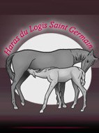 LOGIS SAINT GERMAIN