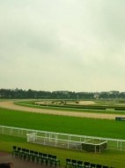  DEAUVILLE